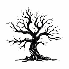 Obraz premium black dead tree isolated on white