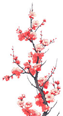 PNG Chinese seamless plum blossom flower plant inflorescence.