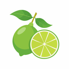 whole and sliced lime fruit with leaves on branch isolated on white