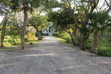 Isle of Palms, USA – June 30, 2025: A long gravel driveway framed by mature trees and palms leading to a white coastal home at Wild Dunes Resort, South Carolina, in the late afternoon sun.