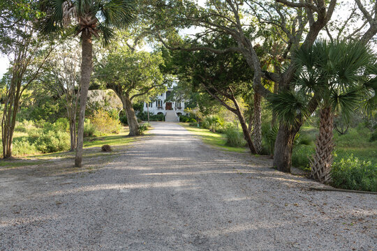 Isle of Palms, USA – June 30, 2025: A long gravel driveway framed by mature trees and palms leading to a white coastal home at Wild Dunes Resort, South Carolina, in the late afternoon sun.