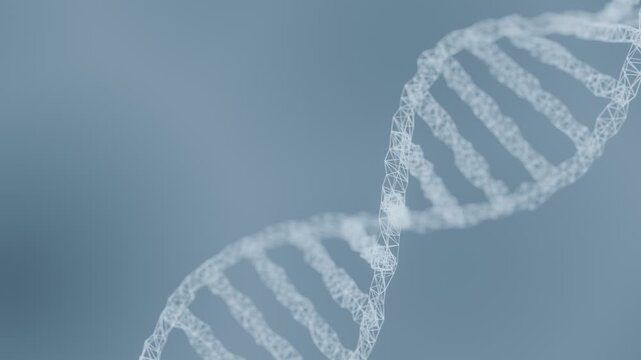 Abstract Digital Wireframe DNA Double Helix Structure for Genetics, Biotechnology, Molecular Science, Innovation in Medical and Biological. Seamless loop background. Created using non-AI 3d software 
