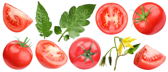 Fresh ripe tomatoes, blossoms and green leaves isolated on white, set