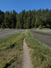 Path between two tidal areas leading from one island to another in Montague Harbour Marine Provincial Park.