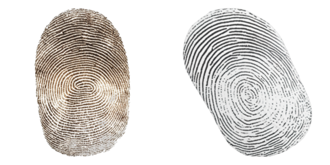 Two fingerprints are shown side by side