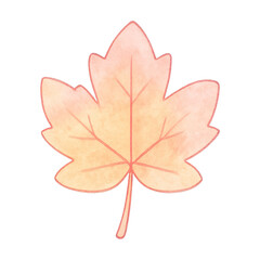 Obraz premium PNG Watercolor maple leaf illustration.