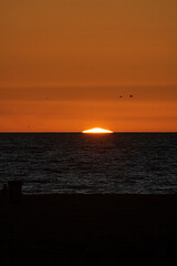 Obraz premium Palm trees on the sunset at venice beach, Los Angeles, California