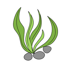 green seaweed vector