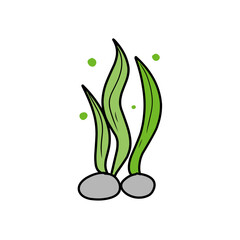 green seaweed vector