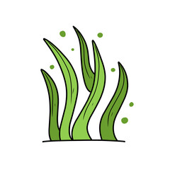 green seaweed vector
