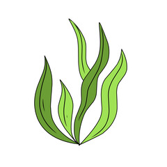 green seaweed vector