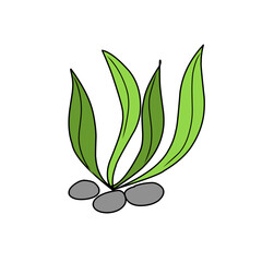 green seaweed vector