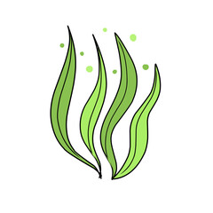 green seaweed vector
