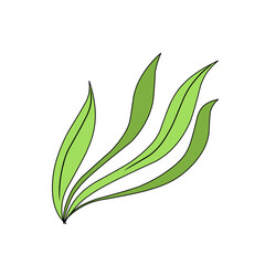 green seaweed vector