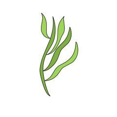 green seaweed vector