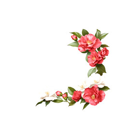 Delicate camellia flowers arranged in a decorative frame design