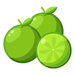 vector illustration of lime
