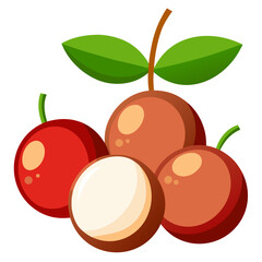 longan cherry