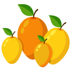 vector illustration of mango