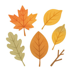 PNG Colorful autumn leaves illustration.