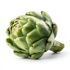 Fresh artichoke head, vibrant green, isolated on white