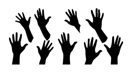 Collection of assorted seashells beach ocean