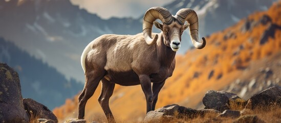 a large rocky landscape, a bighorn sheep standing on a rocky outcrop, detailed fur texture, dramatic lighting, cinematic composition, epic, unreal engine, 8k, hyperrealistic
