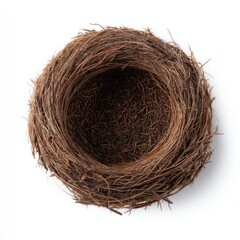 Empty bird's nest, top view