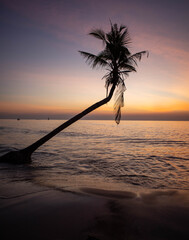 sunset on the beach