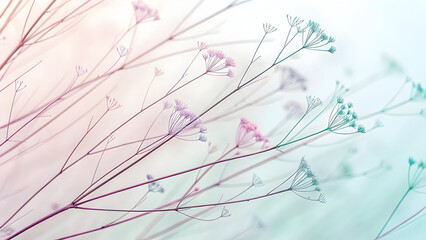 Obraz premium Delicate Pastel Pink Mint Green Wildflower Branches Thin Wispy Diagonal Lines Soft Light Background Botanical Nature Photography