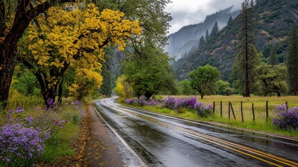 Rainy Autumn Road In Yosemite National Park