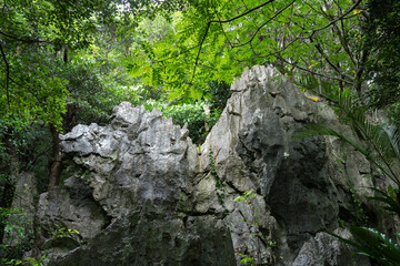 アスムイハイクス　大石林山　ラクダの形の奇岩　ラクダ岩