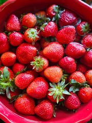 Red bowl of strawberries 