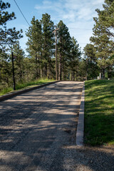 Peaceful Tree-Lined Cemetery Road with Sunlight and Shadows