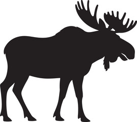 Silhouette of a large bull moose with wide antlers on a white background animal wildlife