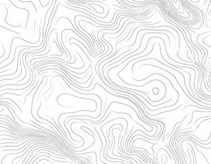 Detailed Topographic Map Illustration for Geolocation and Cartography Projects