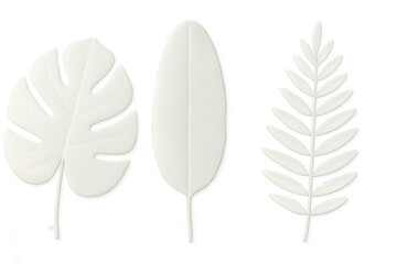 Three-dimensional white leaves of tropical plants creating a minimalist and elegant design on a transparent background