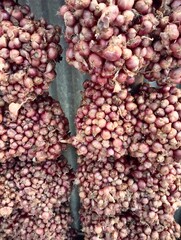 shallots that have been dried for 2 months and hung up to be used as seeds, not for consumption.