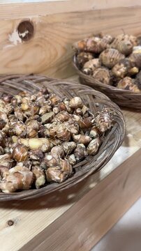 kaempferia galanga, commonly known as kencur, aromatic ginger, sand ginger, cutcherry, is a monocotyledonous plant in the ginger family. it is really good for health. fresh raw kencur in rattan plate