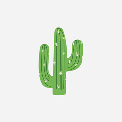 cactus vector illustration
