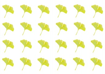 イチョウの壁紙