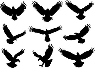 Obraz premium Set of eagle silhouette, eagle's movement and gesture in black colour 
