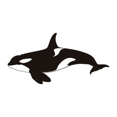 Orca whale silhouette simple black white vector