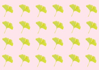 イチョウの壁紙
