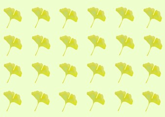 イチョウの壁紙