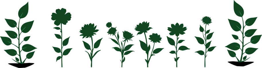Set of different flowers in green colour 