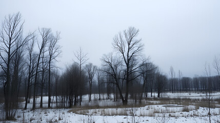 A winter landscape with bare trees and a grey sky, bleak and desolate, muted tones