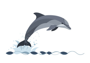 Obraz premium A stylized illustration of a playful gray dolphin leaping from the water, creating a splash against a white background.