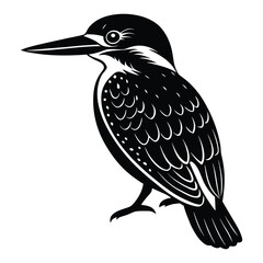 a black and white illustration of a kingfisher