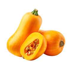 Fresh butternut squash isolated on white background. 